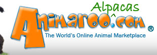 Alpacas and Alpacas and Pets - Animaroo